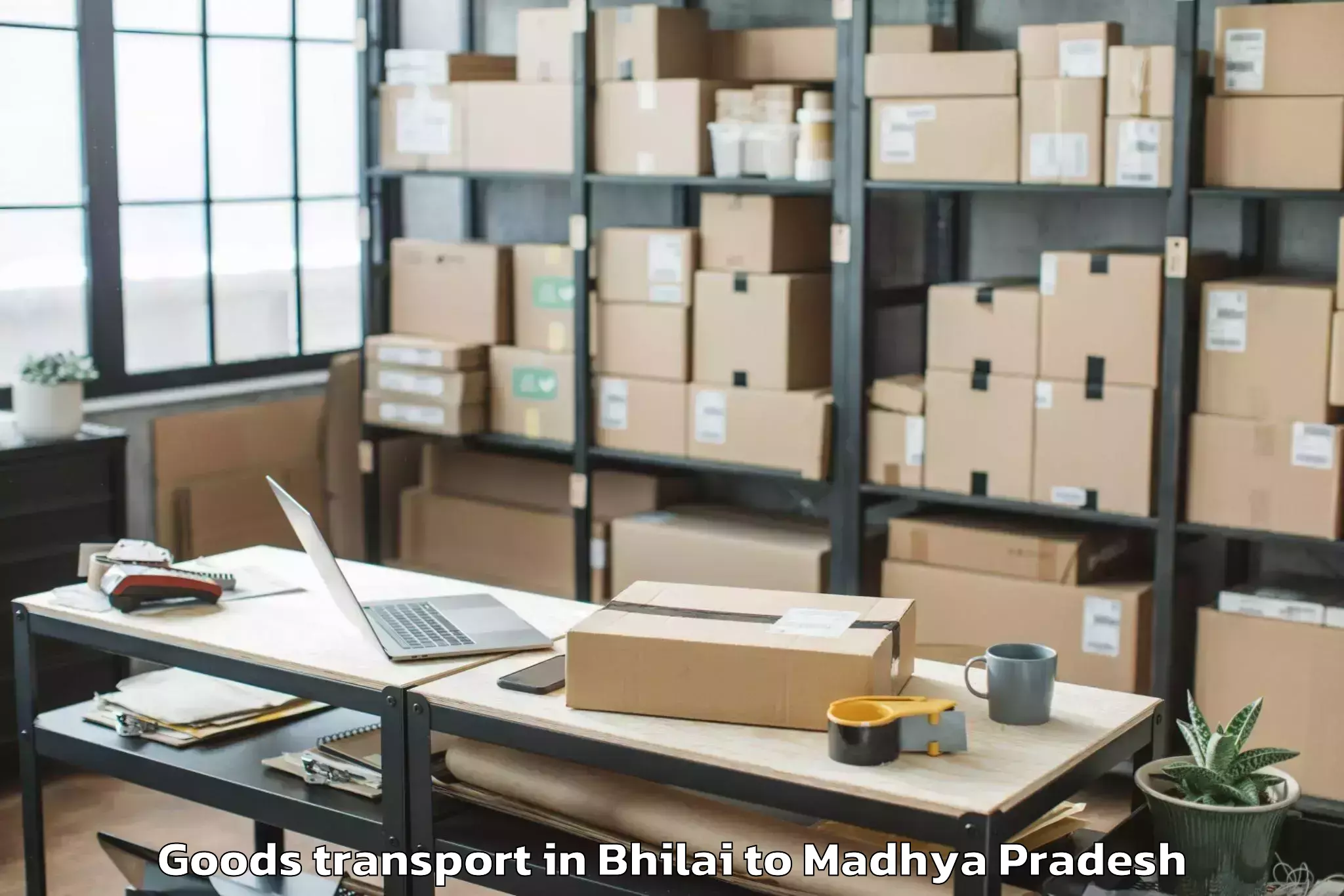 Trusted Bhilai to Malwanchal University Indore Goods Transport